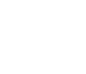Daily Drive logo